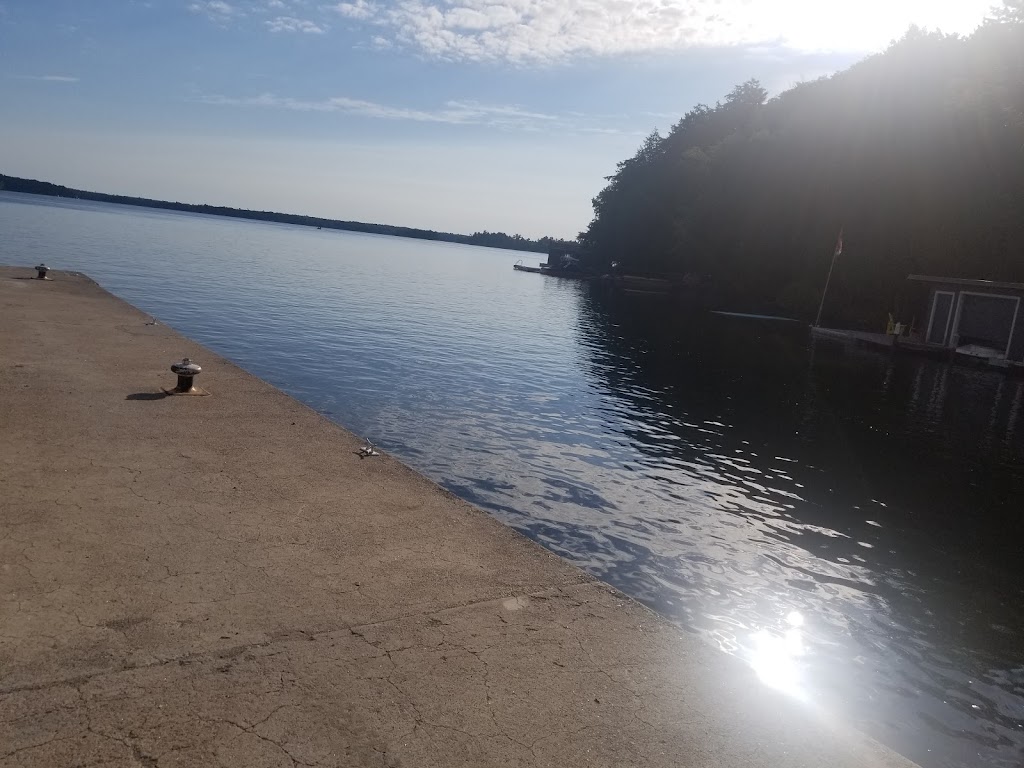 The Cove Foots Bay Marina | 1039 McDonald Rd, MacTier, ON P0C 1H0, Canada | Phone: (705) 375-2473