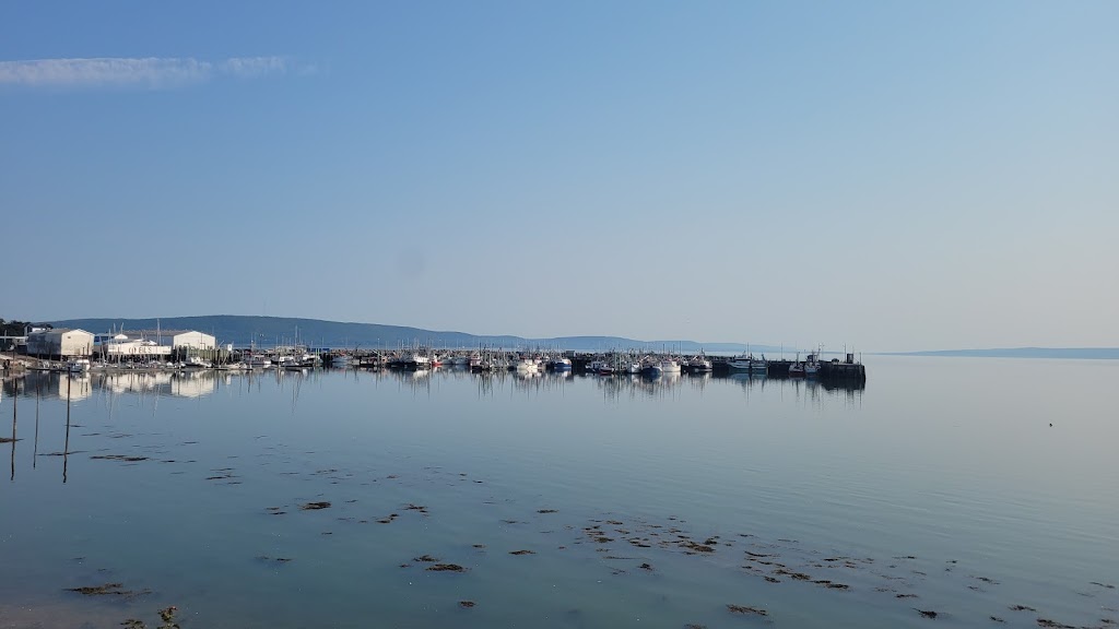 Digby Eye Care Center | 15 Carleton St, Digby, NS B0V 1A0, Canada | Phone: (902) 245-1010
