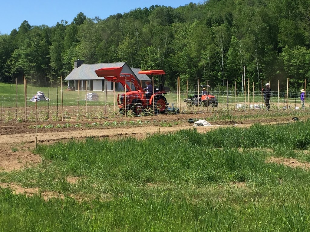 Terre aux colibris - Écoferme | 1625 Route des Ormes, La Conception, QC J0T 1M0, Canada | Phone: (514) 554-9872