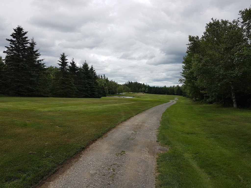 Club De Golf Bellechasse | 505 QC-279, Saint-Damien-de-Buckland, QC G0R 2Y0, Canada | Phone: (418) 789-2008
