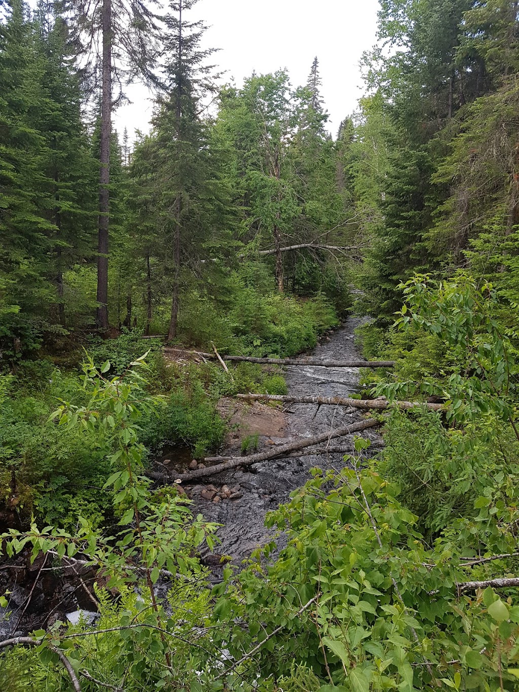Seigneurie Du Triton - Pourvoirie | 1893 Chemin du Triton, Lac-Édouard, QC G0X 3N0, Canada | Phone: (877) 393-0557