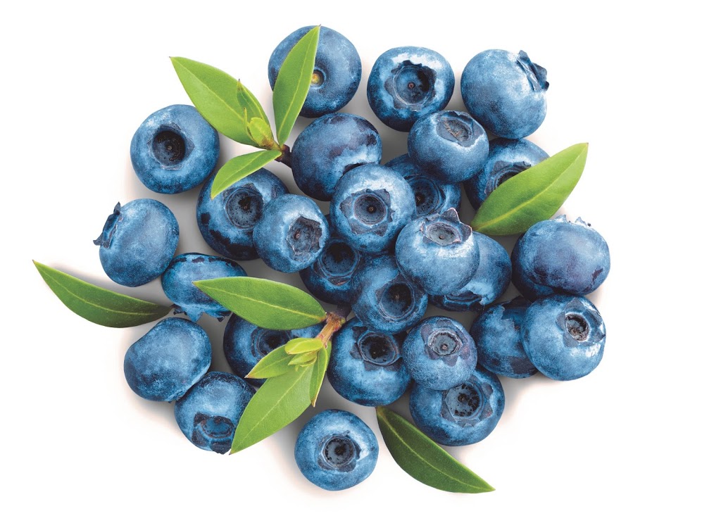Fruit DOr, Plessisville facility | 2760 Avenue Vallée N, Plessisville, QC G6L 3N2, Canada | Phone: (819) 385-1058
