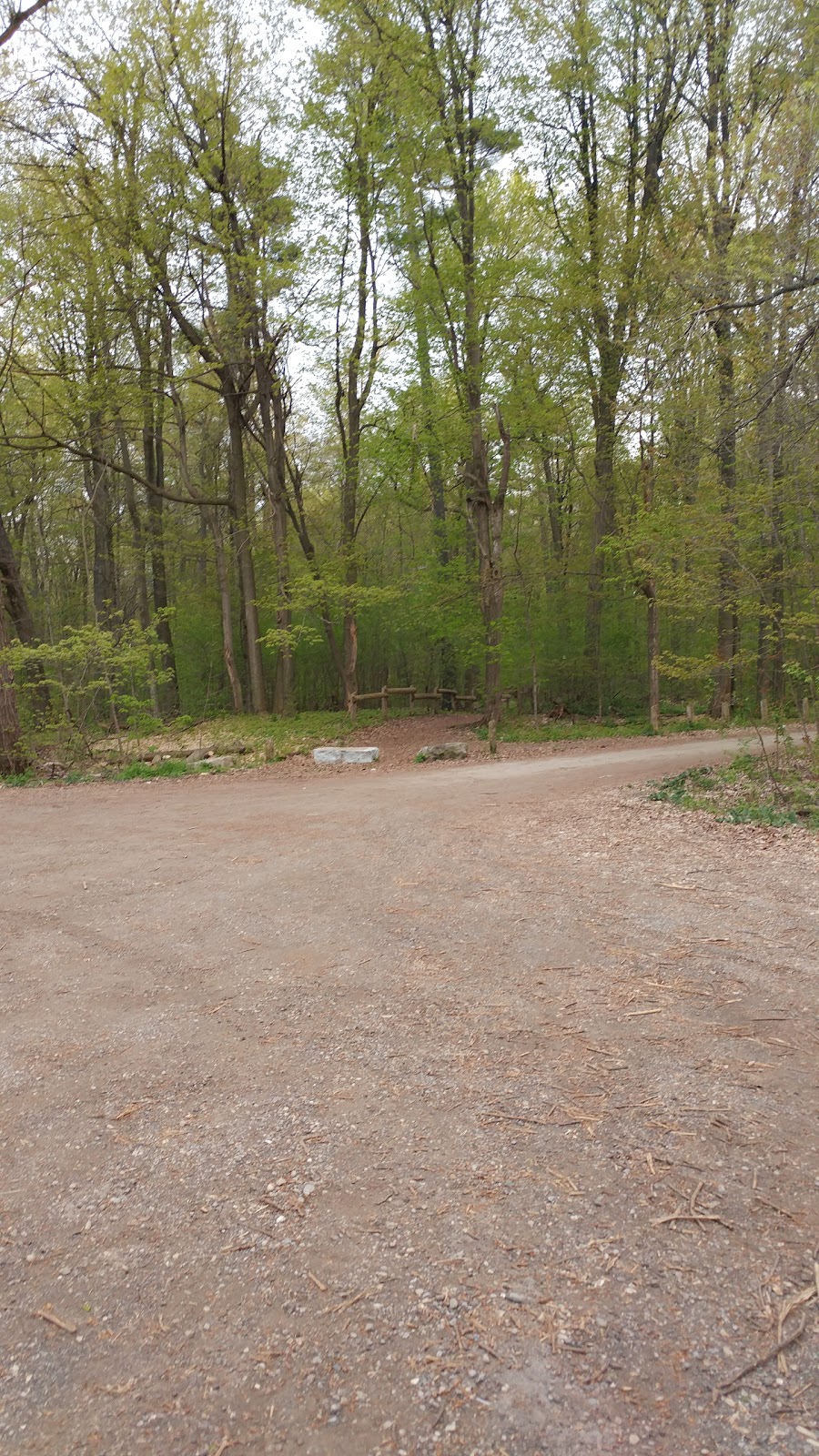 Steckle Woods | Kitchener, ON N2C 2G2, Canada