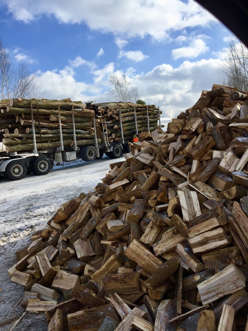 Paul Saller Excavating Inc. | 327 Waite Rd, Pontypool, ON L0A 1K0, Canada | Phone: (905) 261-7365