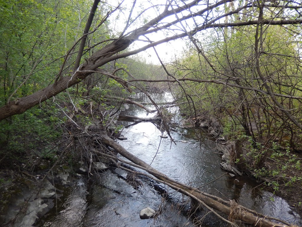 Parc de la Gatineau | 33 Chemin Scott, Chelsea, QC J9B 1R5, Canada | Phone: (613) 239-5000