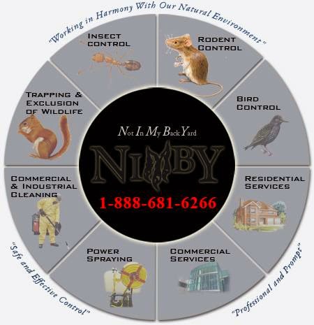 Nimby Pest Management | home goods store | 47 Wilson St W, Ancaster, ON L9G 1N1, Canada