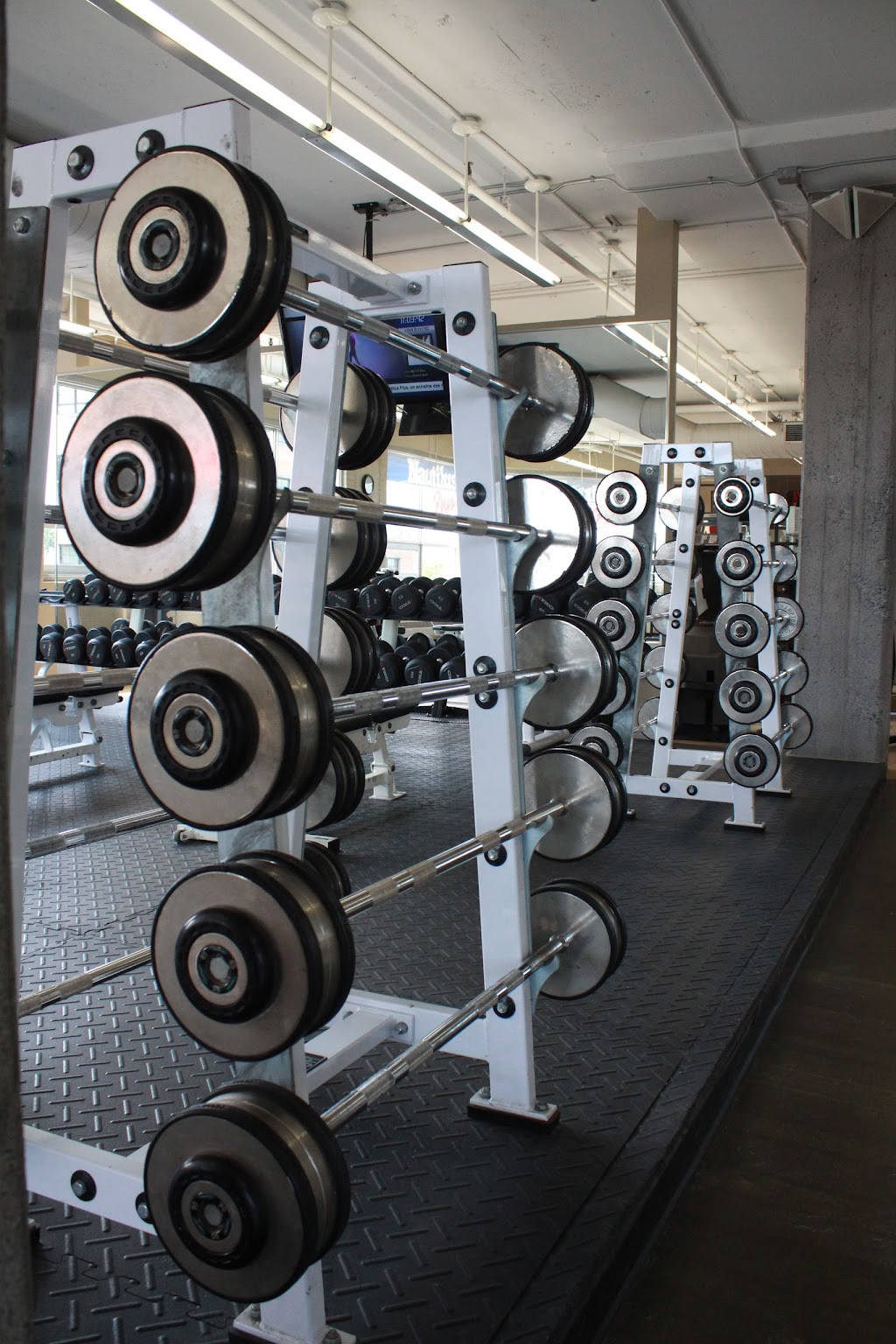 Nautilus Plus Plateau | 55 Avenue du Mont-Royal O, Montréal, QC H2T 2S6, Canada | Phone: (514) 905-5905