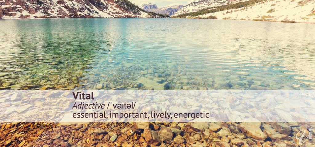 Vital Imagery Ltd. | 61 Dunedin Dr, Brussels, ON N0G 1H0, Canada | Phone: (800) 713-0398