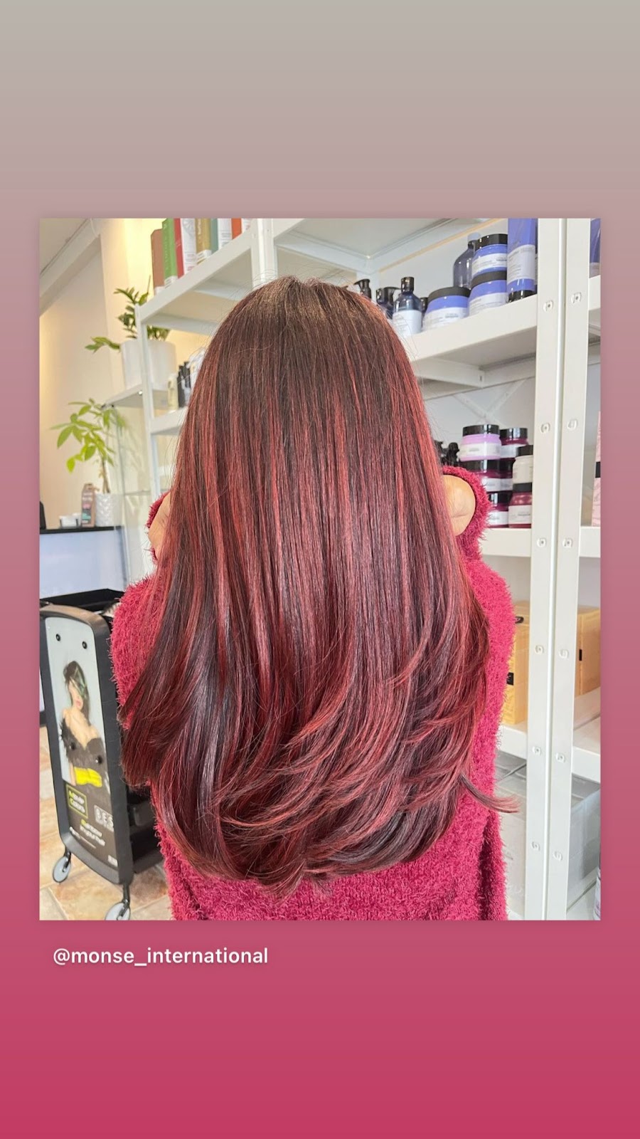 Monse International | 47 Ave Donegani, Pointe-Claire, QC H9R 2V8, Canada | Phone: (514) 694-8089