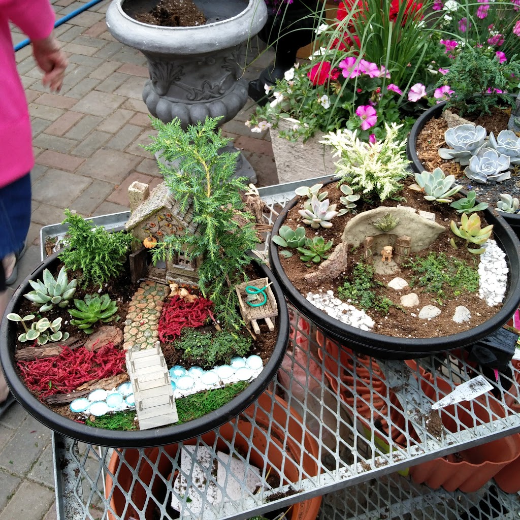 Hilltop Greenhouses | AB-23, Monarch, AB T0L 1M0, Canada | Phone: (403) 553-3175