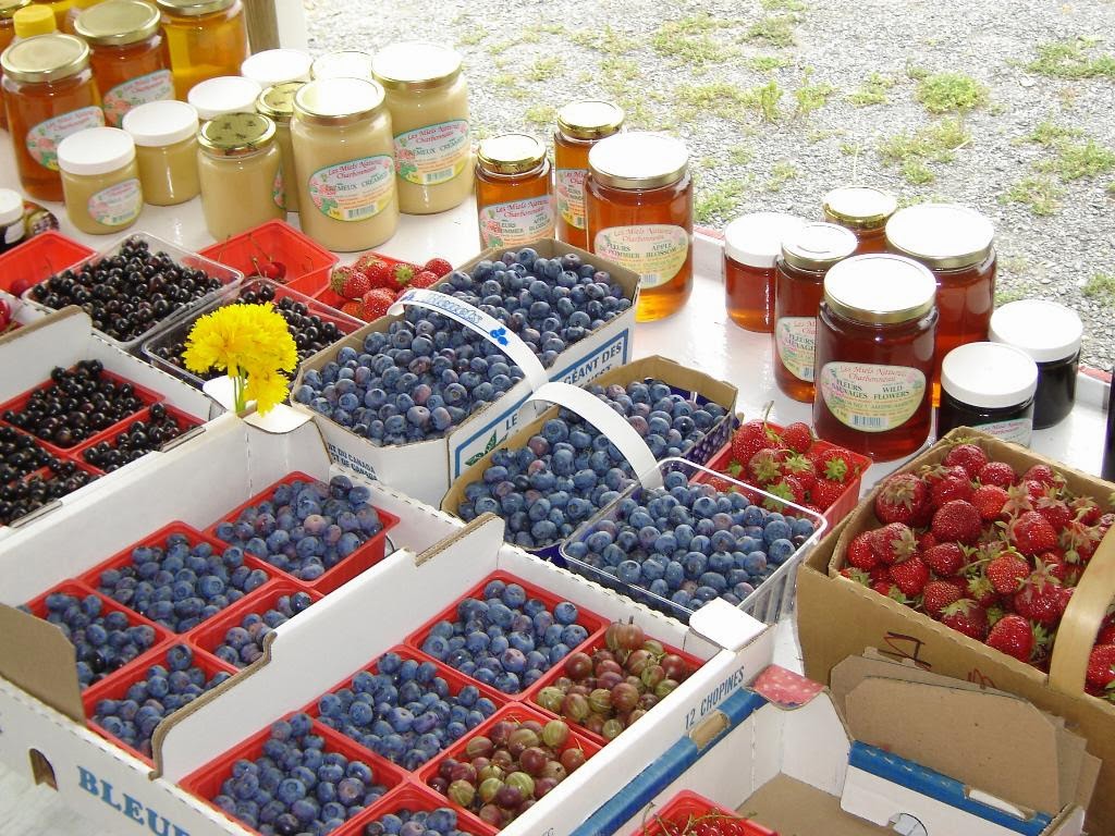 Paradis des Fruits Dunham | 519 Rue Bruce, Dunham, QC J0E 1M0, Canada | Phone: (450) 295-2667