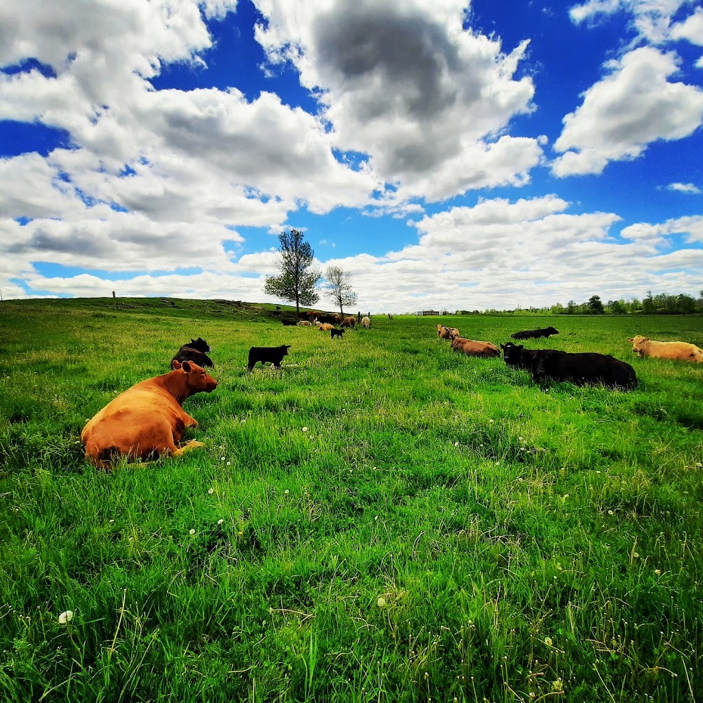 Fairchild Farm | 2091 Concession 8 W, Cambridge, ON N1R 5S2, Canada | Phone: (519) 740-0980