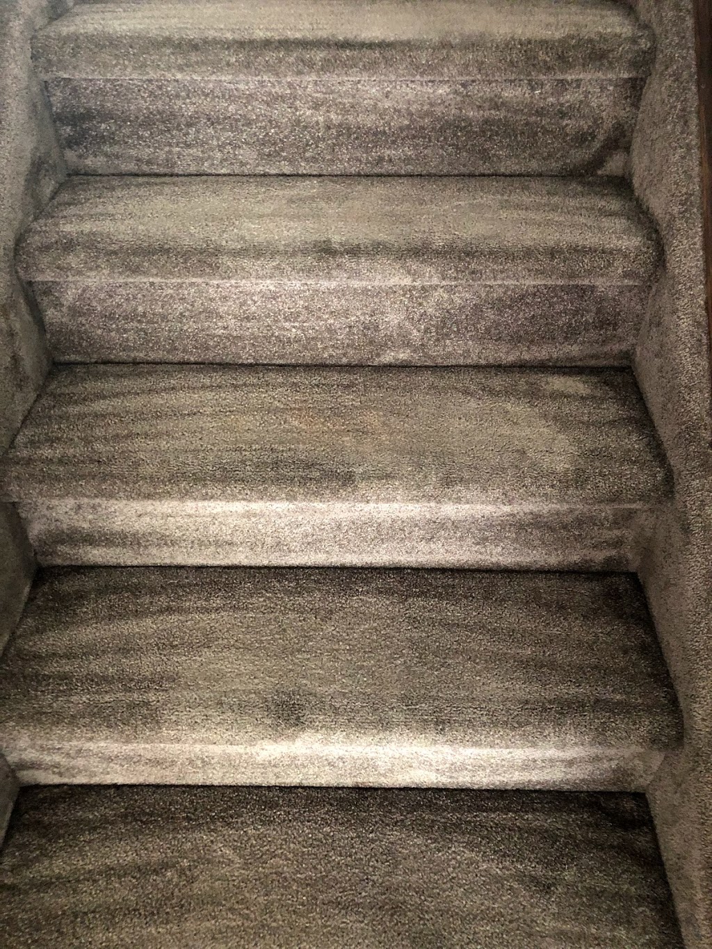 Power Carpet Cleaning | Twin Brooks, Edmonton, AB T6J 5A7, Canada | Phone: (780) 399-5578