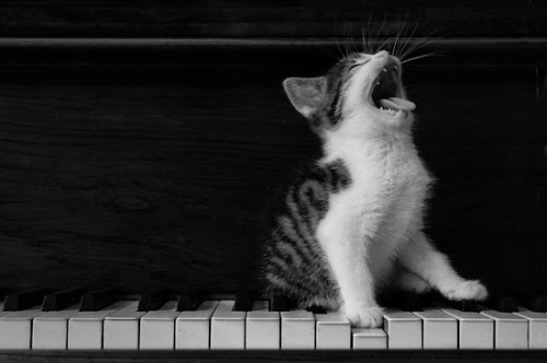 Camche Studio Cours De Chant, Piano, Violon, Violoncelle & Enreg | 327 Rue de la Terrasse Drouin, Saint-Colomban, QC J5K 1Z1, Canada | Phone: (514) 475-0599