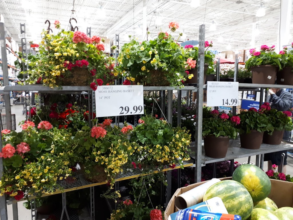 Costco Wholesale | 230 Chain Lake Dr, Halifax, NS B3S 1C5, Canada | Phone: (902) 876-7788