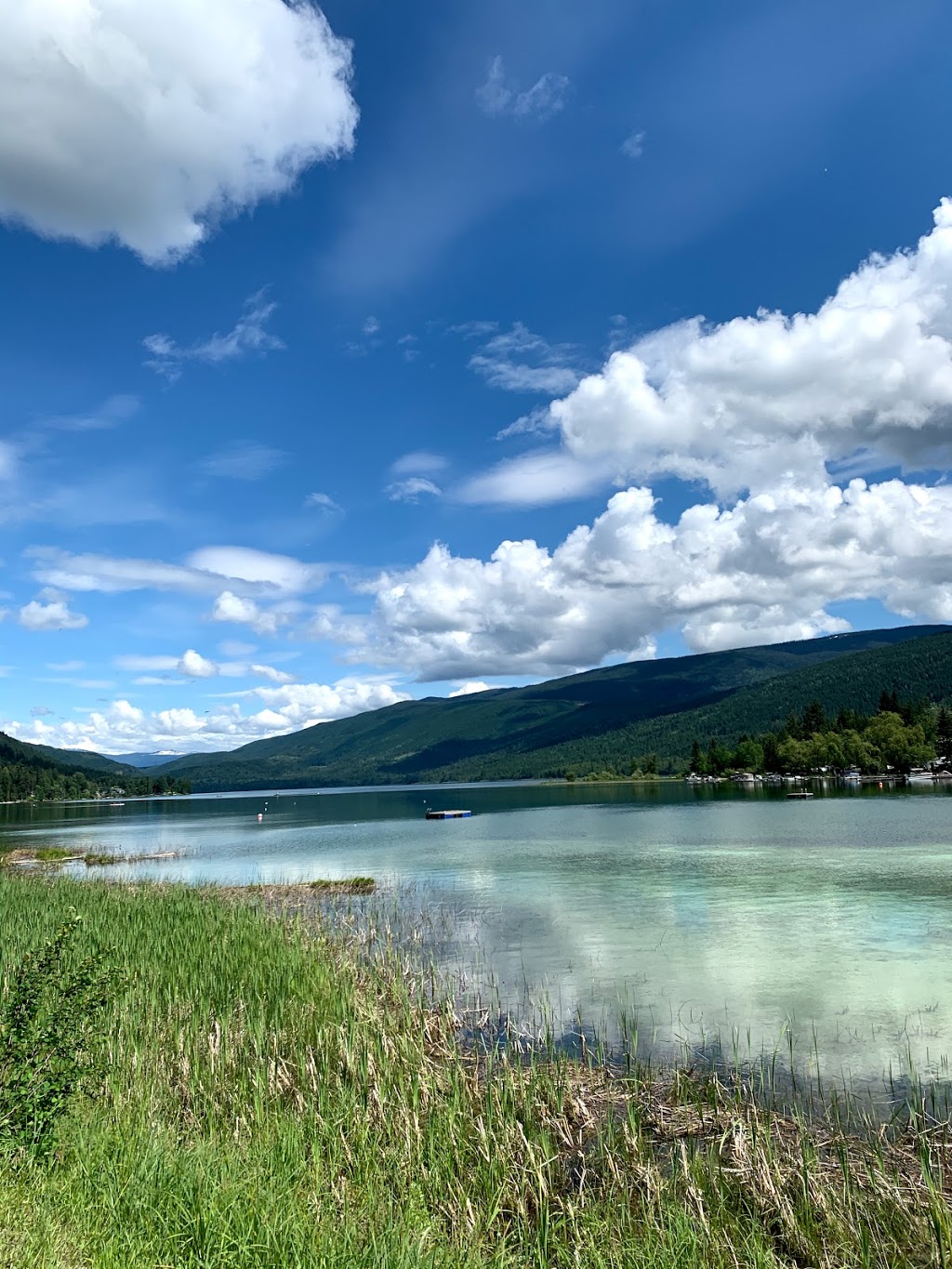 Woodhaven Campground | 4010 Settle Rd, Sorrento, BC V0E 2W1, Canada | Phone: (250) 835-4600
