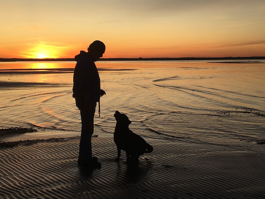 Grimmers Canine College | 59 Chemin Ohio, Shédiac, NB E4P 2J8, Canada | Phone: (506) 532-8852