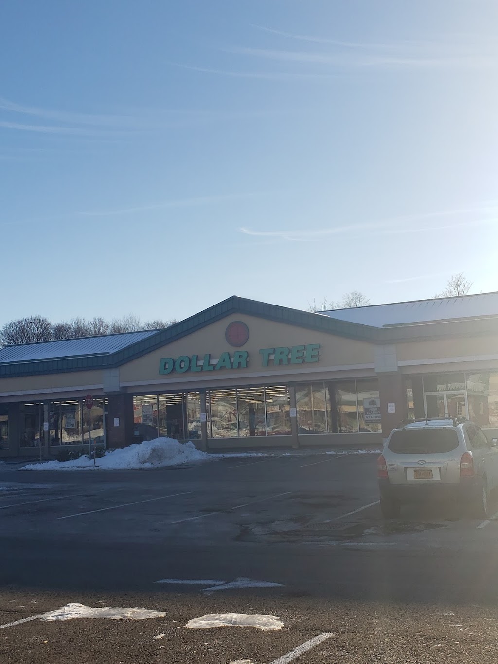 Dollar Tree | 140 Pine St, Hamburg, NY 14075, USA | Phone: (716) 312-3032