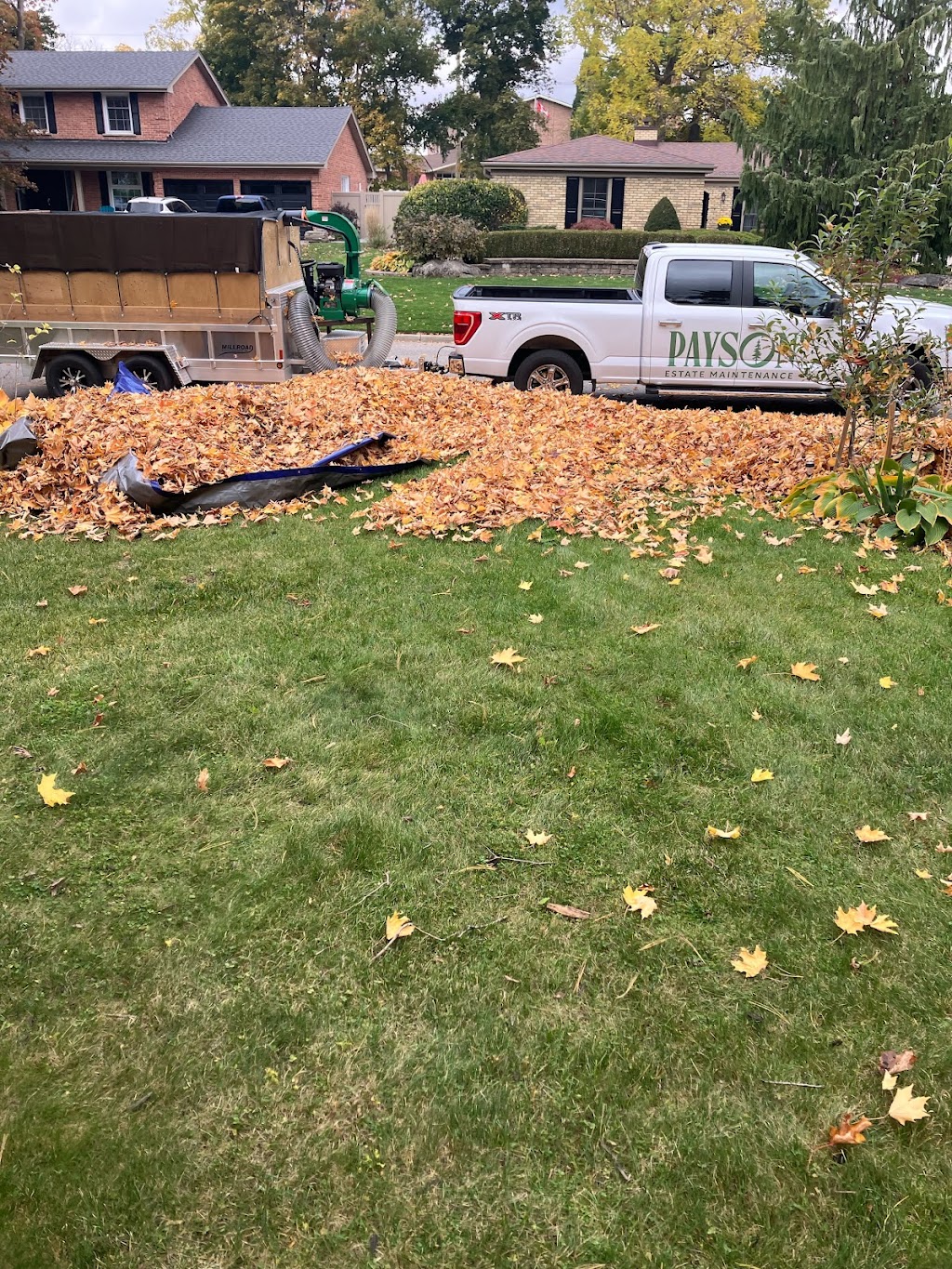 Payson Estate Maintenance | 28 Widdicomb Crescent, London, ON N6K 3C1, Canada | Phone: (519) 657-6391