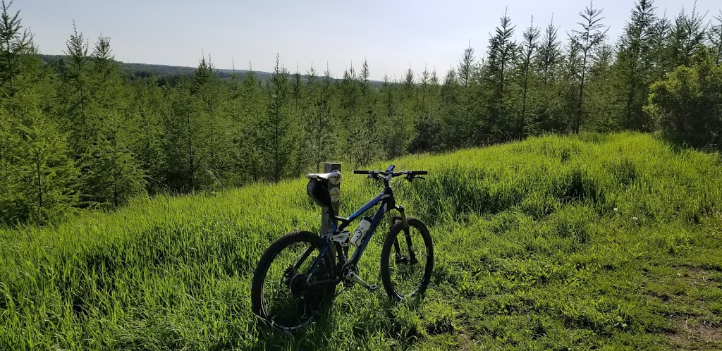 Albion Hills Conservation Park | 16500 Peel Regional Rd 50, Caledon, ON L7E 3E7, Canada | Phone: (905) 880-0227
