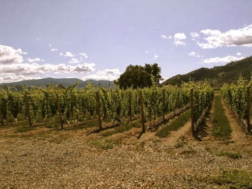 Young & Wyse Collection | 9503 12 Ave, Osoyoos, BC V0H 1V1, Canada | Phone: (250) 495-3245