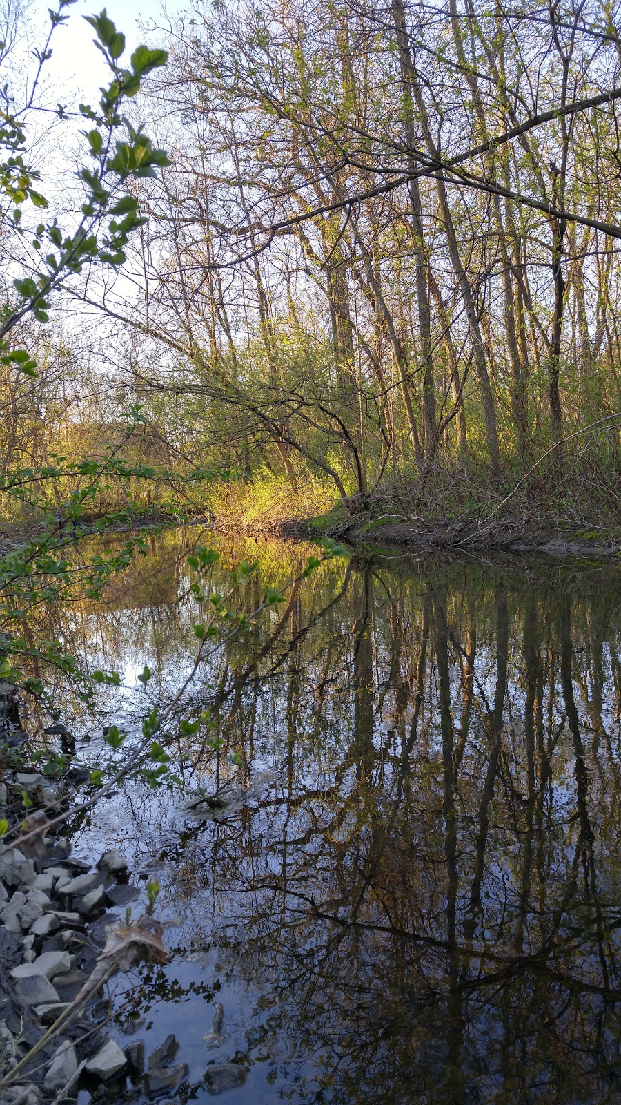 Parc Bois de Brouage | Boucherville, QC J4B 2E9, Canada