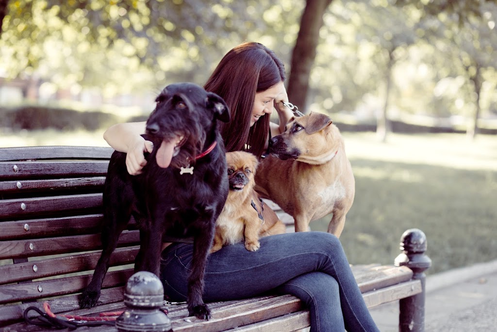 Paw Parade Dog Walking | 1043 Rick Hansen Crescent, Ottawa, ON K4P 1M4, Canada | Phone: (613) 400-0338