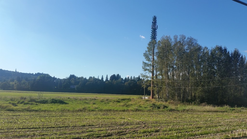 Xa: Ytem Interpretive Centre | 35087 Lougheed Hwy., Mission, BC V2V 6T1, Canada | Phone: (604) 824-3211
