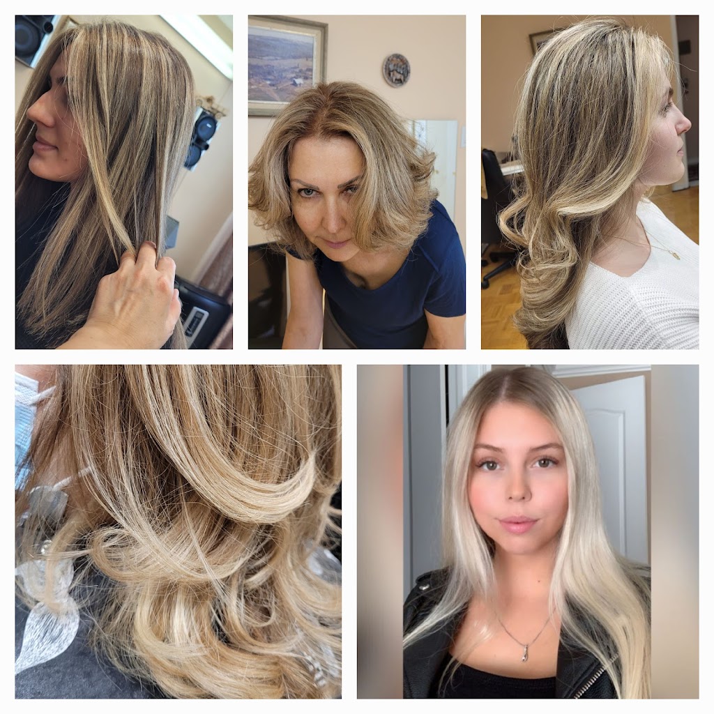 Alenas Hairstyle | 12 Goldfinch Ct, Toronto, ON M2R 2C4, Canada | Phone: (647) 836-7025
