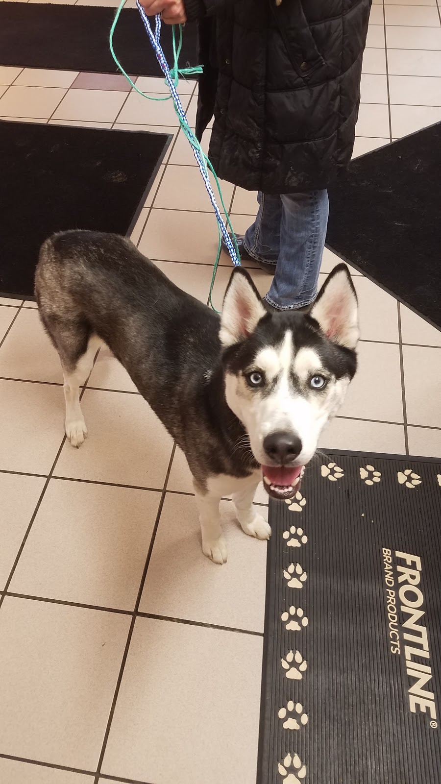 Richmond Veterinary Hospital | 10335 Gratiot Ave, Columbus, MI 48063, USA | Phone: (586) 727-9018