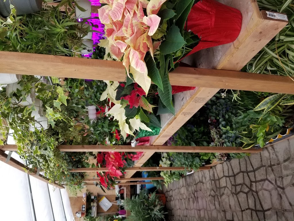 Unique Exotics | Pirates Glen Dr, Trent Lakes, ON K0M 1A0, Canada | Phone: (289) 688-2617