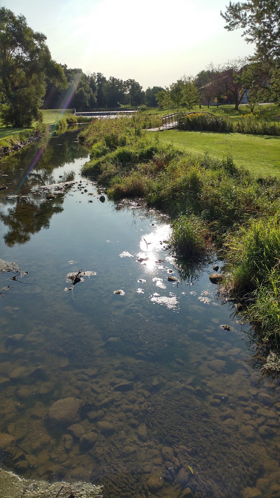 MacNaughton Park and Nature Trail | 56 Hill St, Exeter, ON N0M 1S1, Canada
