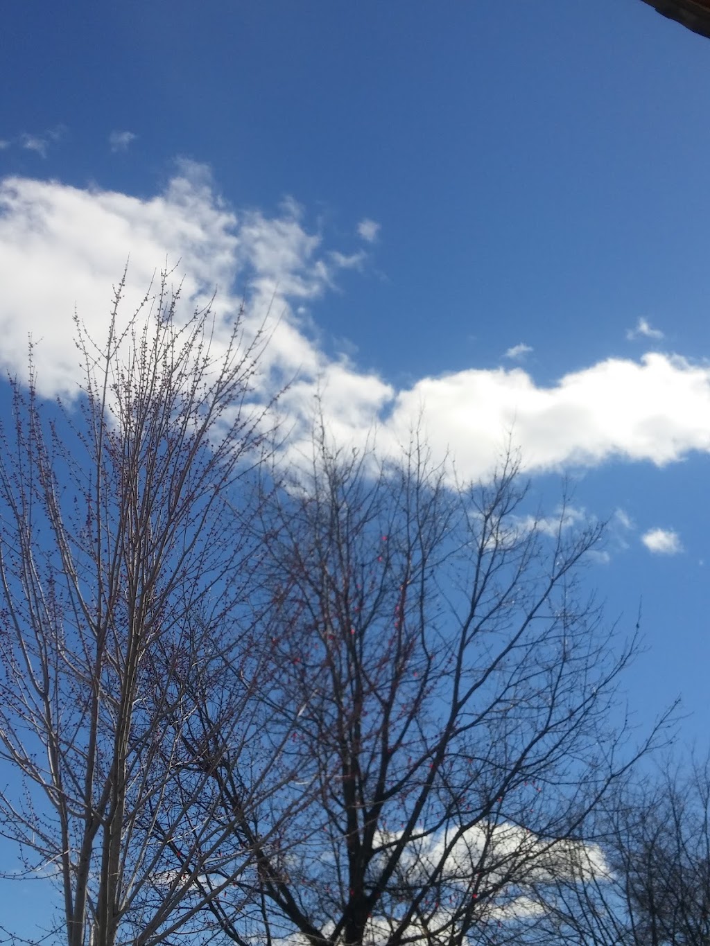Coronation Park | Lake St, Pembroke, ON K8A 4K2, Canada | Phone: (613) 735-6821