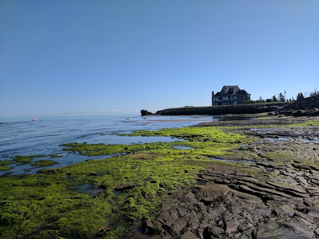 Sea Tide Ground Fish Plant | 45 Rue Cormier, Cap-Pelé, NB E4N 1N8, Canada | Phone: (506) 577-6733