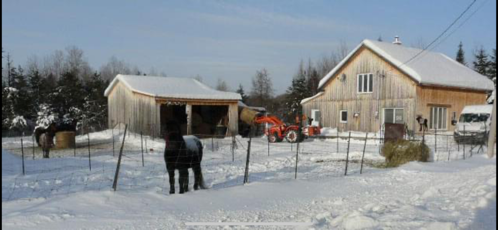 Urine Celeste | 2024 Rang St Joseph N, Girardville, QC G0W 1R0, Canada | Phone: (418) 258-1014