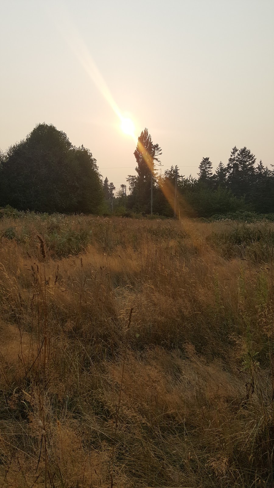 Outer Island Guest Farm | 4785 De Pape Rd, Hornby Island, BC V0R 1Z0, Canada | Phone: (250) 335-2379