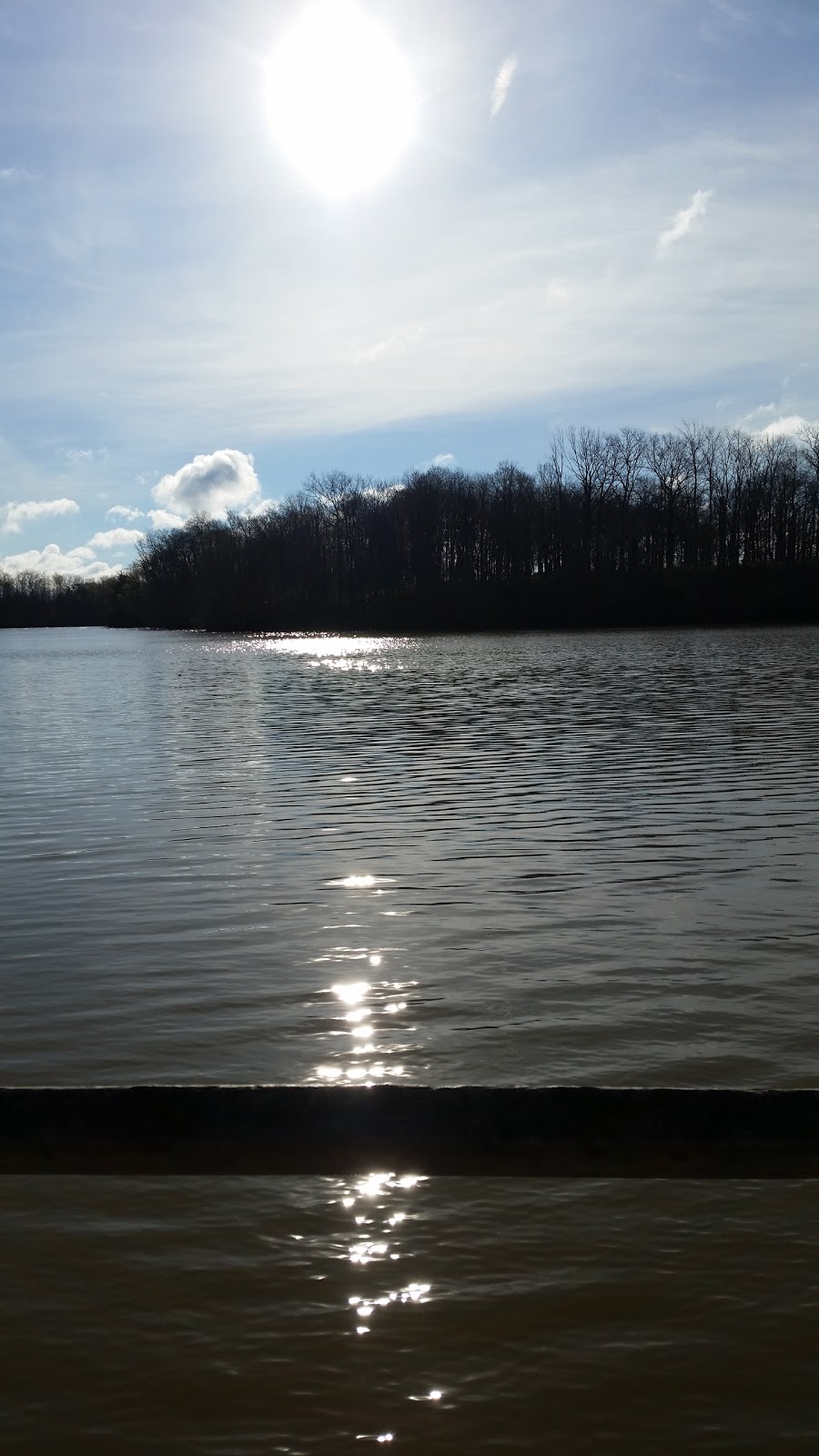Sharon Creek Conservation Area | 4212 Springer Rd, Delaware, ON N0L 1E0, Canada | Phone: (519) 264-2420