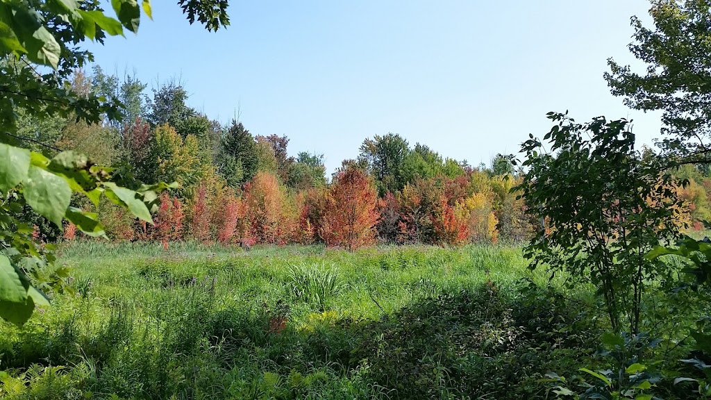Rondeau Park | Eganville Rd, Pembroke, ON K8A 4G3, Canada | Phone: (613) 735-3660
