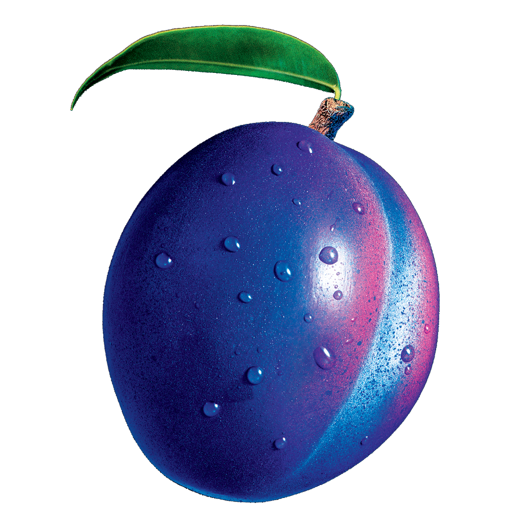 Plum in Westhills Towne Centre | 250 Stewart Green SW, Calgary, AB T3H 3C8, Canada | Phone: (403) 240-1484