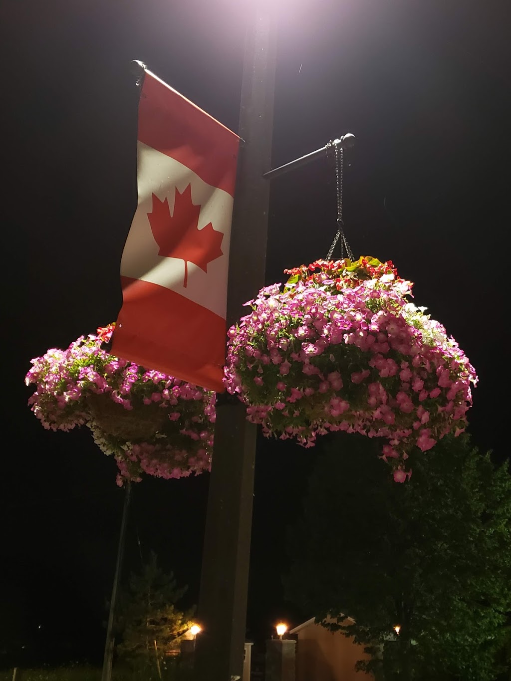 J & J Motel | 201 Main St, Wasaga Beach, ON L9Z 2L3, Canada | Phone: (705) 429-6501