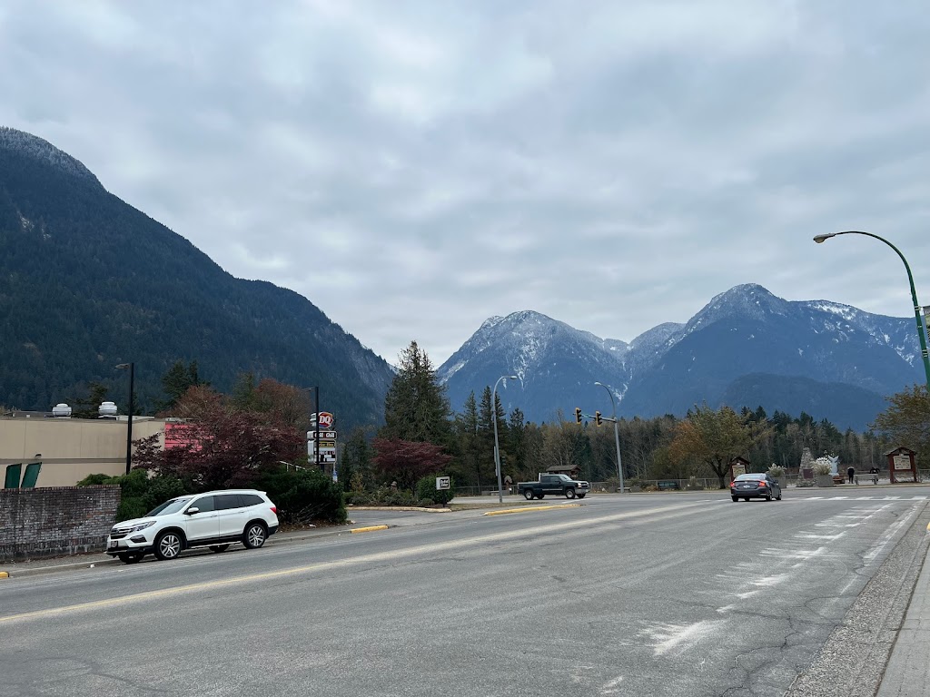 HoneyBadger Bitcoin ATM at Pharmasave Hope | 235 Wallace St, Hope, BC V0X 1L0, Canada | Phone: (855) 499-1149