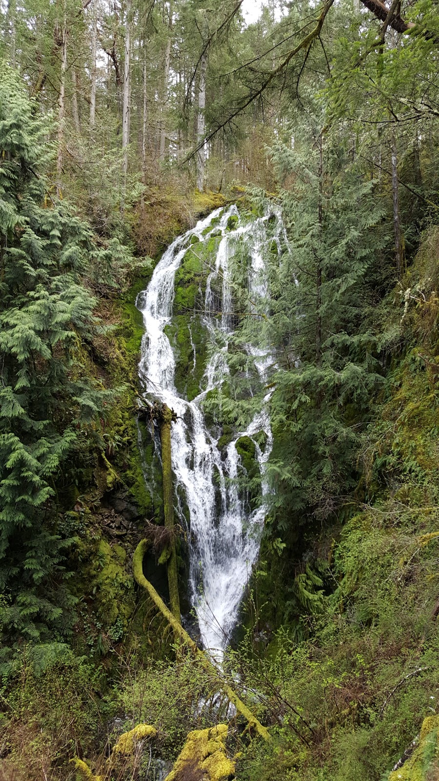 Cascade Trail | Cascade Trail, Victoria, BC V9E 2A3, Canada