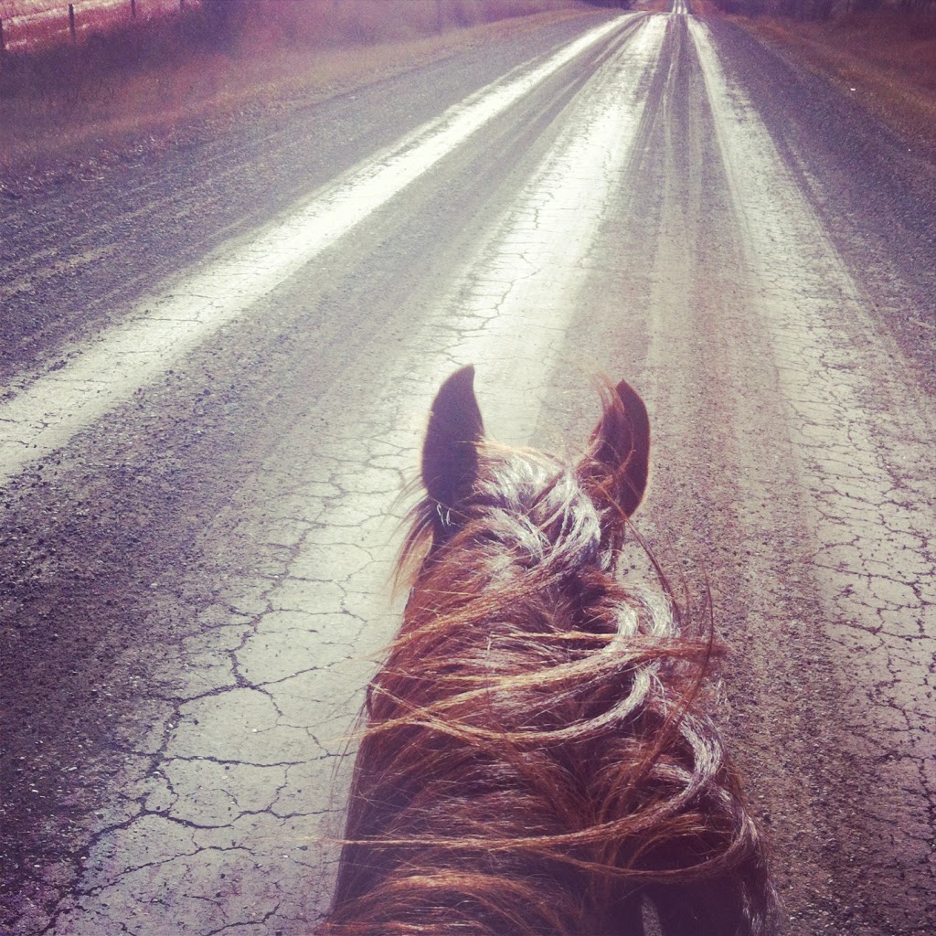 Esprix Stables High Performance Riding Club | 2410 Secondary Hwy 627, Parkland County, AB T7Y 2R3, Canada | Phone: (780) 220-4756