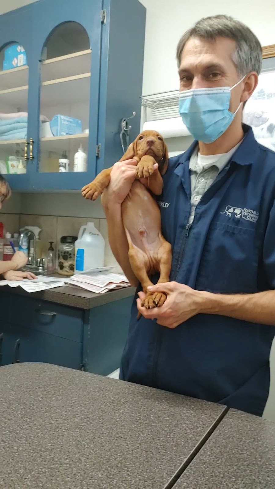 Foothills Veterinary Clinic | 376 1 Ave W, Cardston, AB T0K 0K0, Canada | Phone: (403) 653-4424
