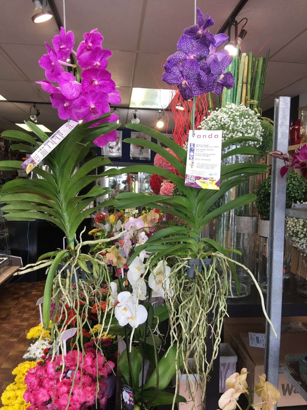Arum Fleuriste Montréal | 6751 Rue Beaubien E, Montréal, QC H1M 3B2, Canada | Phone: (514) 254-4353