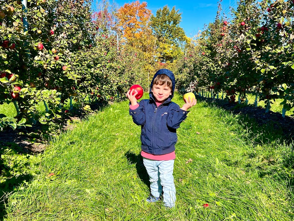 Irishview Estates Apple Orchard | 2480 NB-115, Irishtown, NB E1H 2M1, Canada | Phone: (506) 384-0294