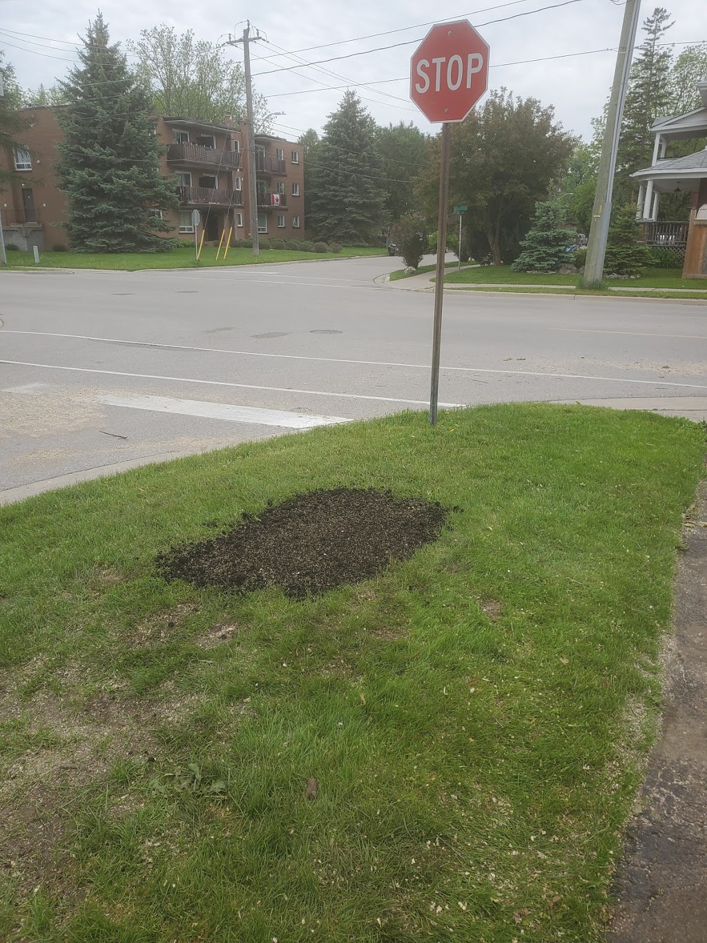 Caledon Tree Services | 750 Mt St Louis Rd E, Coldwater, ON L0K 1E0, Canada | Phone: (647) 965-5721