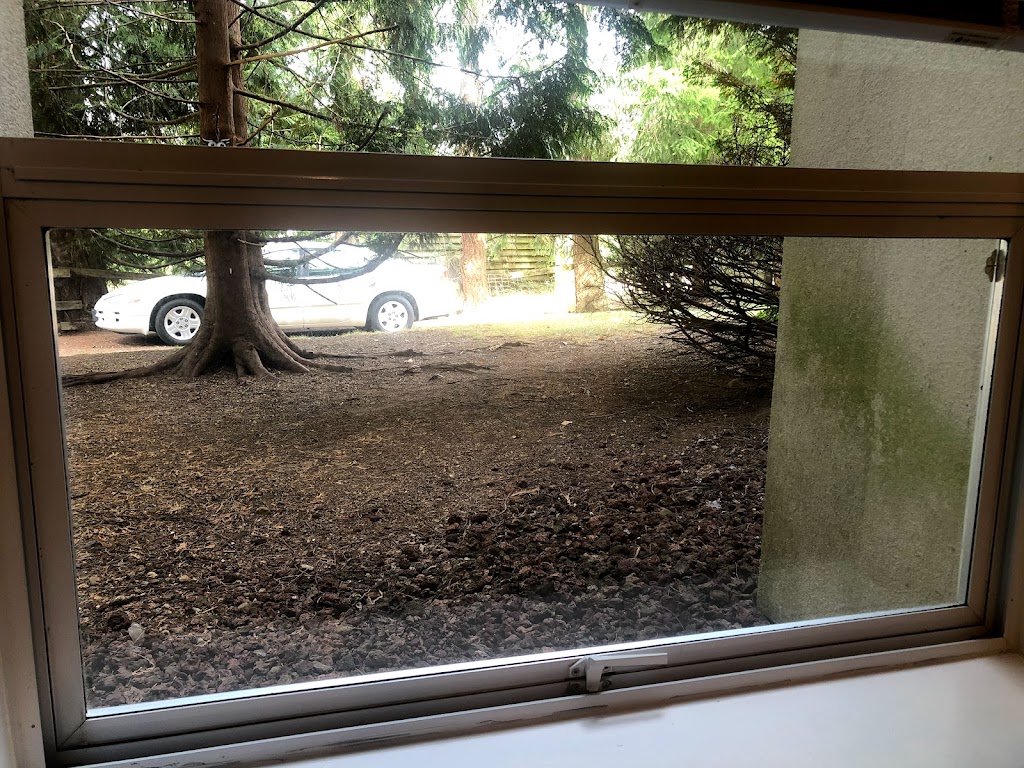 Professional Window Screen | 7264 201 St, Langley, BC V2Y 3G3, Canada | Phone: (778) 908-1236