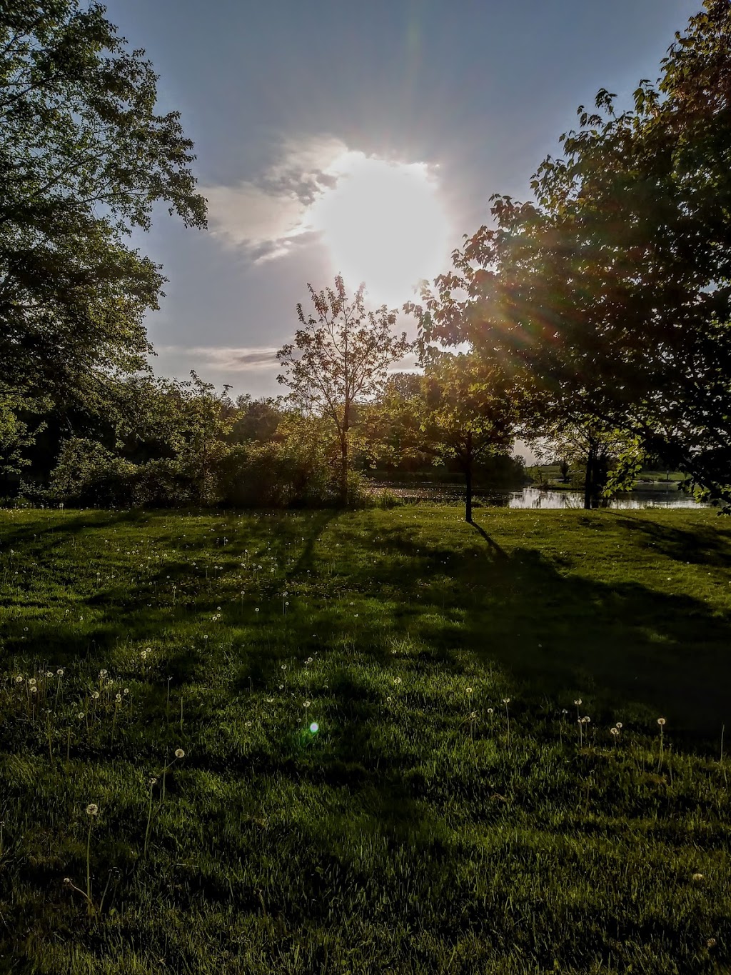 Beaver Island Nature Center | Park Rd, Beaver Island Pkwy, Grand Island, NY 14072, USA