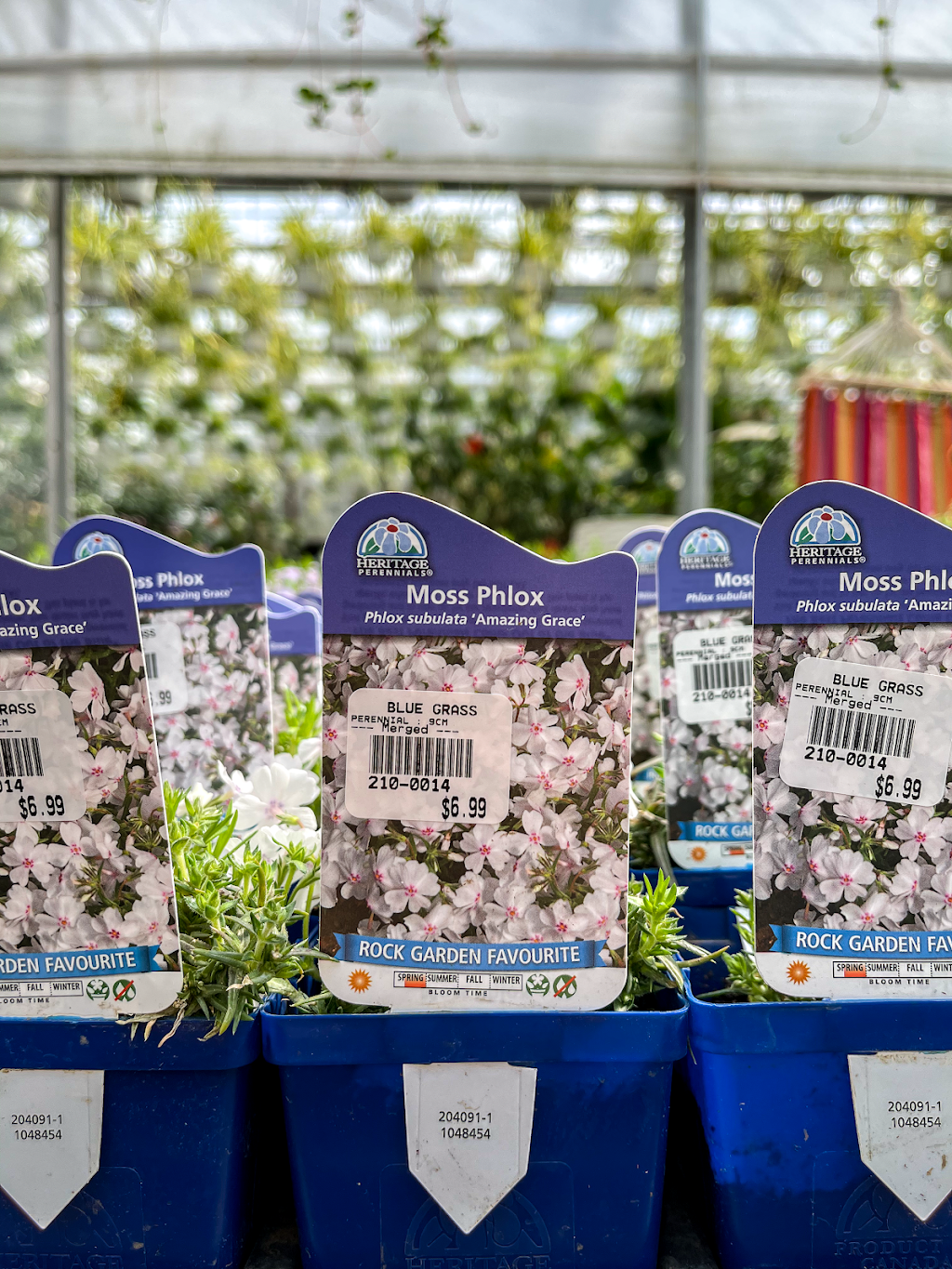 BLUE GRASS SOD, NURSERY & GARDEN CENTRE | 102-39026 Range Rd 275, Alberta T4S 2A9, Canada | Phone: (403) 347-7211
